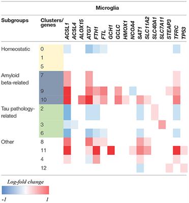 Corrigendum: The Potential of Ferroptosis-Targeting Therapies for Alzheimer's Disease: From Mechanism to Transcriptomic Analysis